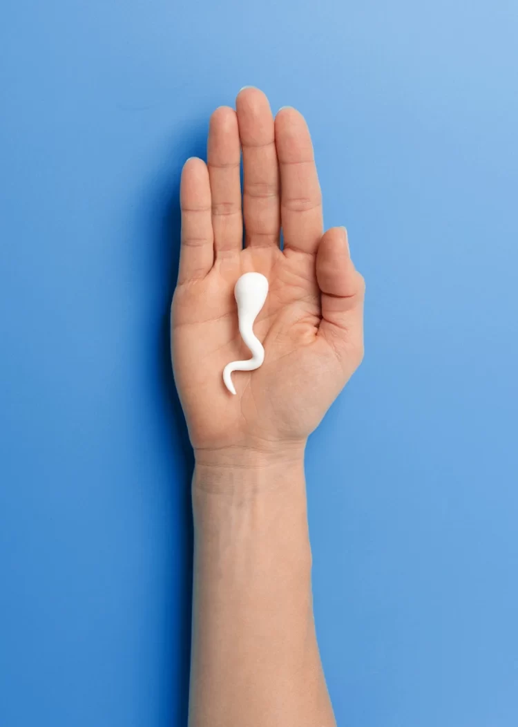 تبرع-الحيوانات-المنوية (1) تبرع-الحيوانات-المنوية (1)